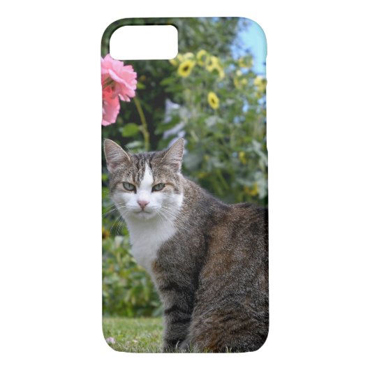 Tischkatze Case-Mate iPhone Hülle (Rückseite)