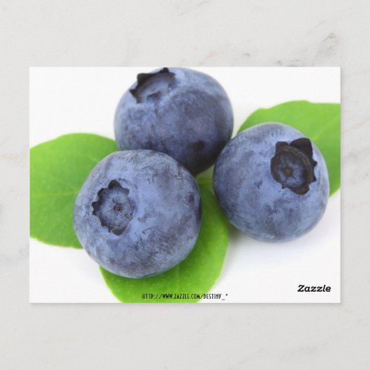 Tischnummer (Rückseite)