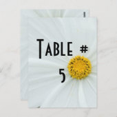 Tischnummer (Vorne/Hinten)