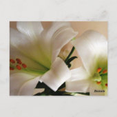 Tischnummer (Rückseite)