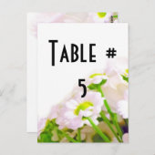 Tischnummer (Vorne/Hinten)