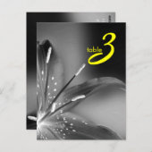 Tischnummer (Vorne/Hinten)