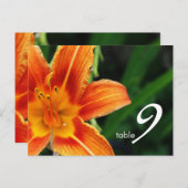 Tischnummer (Vorne/Hinten)