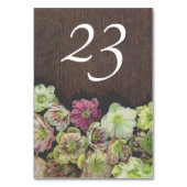 TISCHNUMMER DRAMATIC Garden Hellebore (Vorderseite)