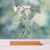 Tischnummer für ewig-grüne Winterhochzeit Acrylschild (Neutral)