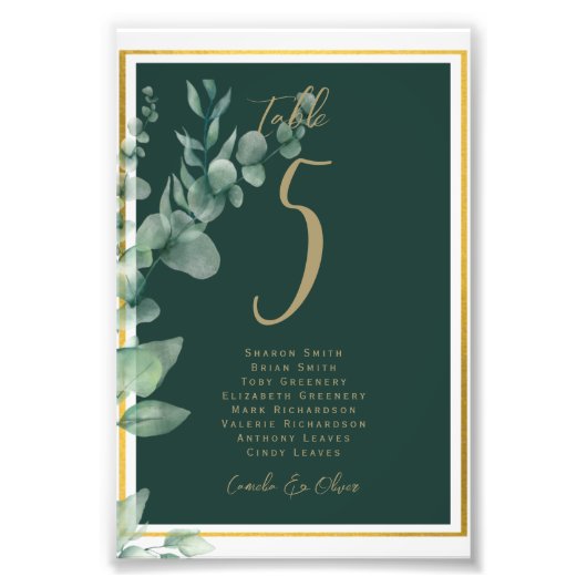 TISCHNUMMER HAUSHALT Grünpflanzen Eukalyptus Fotodruck (Vorne)