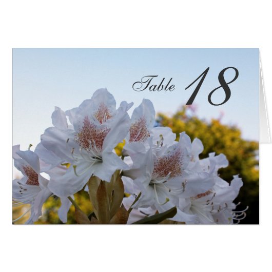 Tischnummer-Karte für Blume mit weißer Azalea (Vorderseite (Horizontal))