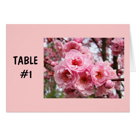 Tischnummer Karten Rosa Blüten Frühlingsblüten Par (Vorderseite (Horizontal))