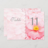 Tischnummer-Postkarte Postkarte (Vorne/Hinten)