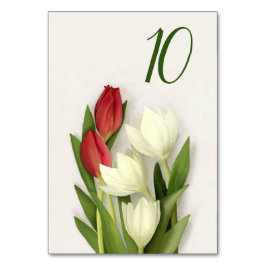 Tischnummer Rot-Weiß-Tulips