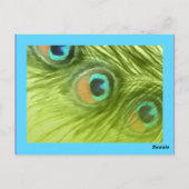 Tischnummer Türkis Blau und Limon Pfau (Rückseite)