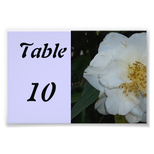 Tischnummern-Blume Fotodruck (Vorne)
