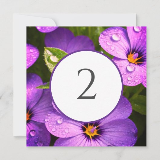 Tischnummern Blumengrenze (Vorderseite)