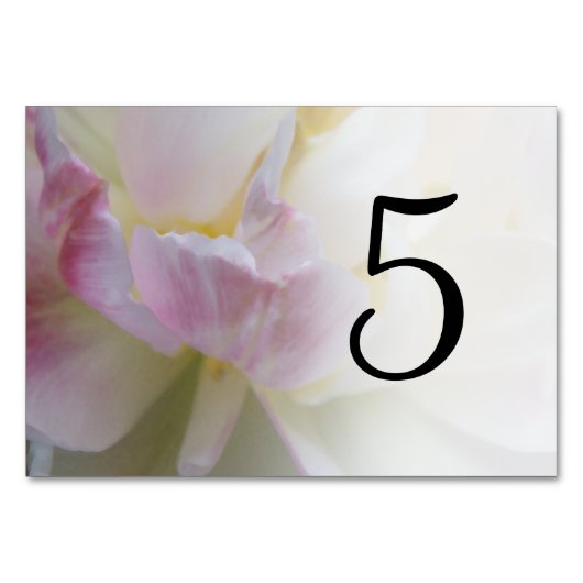 Tischnummern der Blume Rosa und Weiße Tulip (Vorderseite)