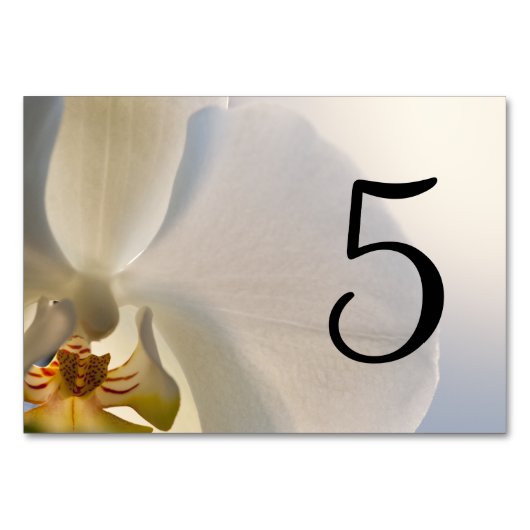 Tischnummern der Weißen Orchidee (Vorderseite)