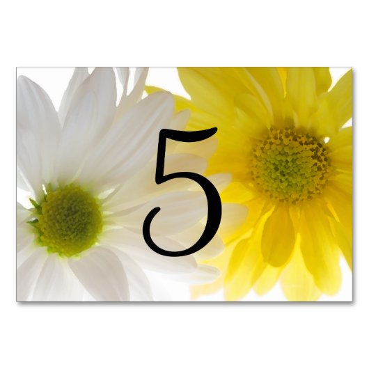 Tischnummern Gelb und Weiß (Vorderseite)