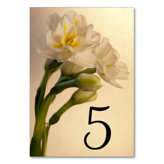 Tischnummern mit weißem Doppel-Nadelholz (Rückseite)