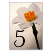 Tischnummern zur Blume von White Spring (Vorderseite)