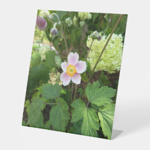 Tischschild mit rosa Wildblume   Botanischer Blume Sockelschild