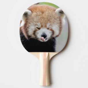 Tischtennisplatte Foto roter Panda , Tiere. Tischtennis Schläger