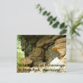 Tishomingo Rock Formation II Postkarte (Stehend Vorderseite)