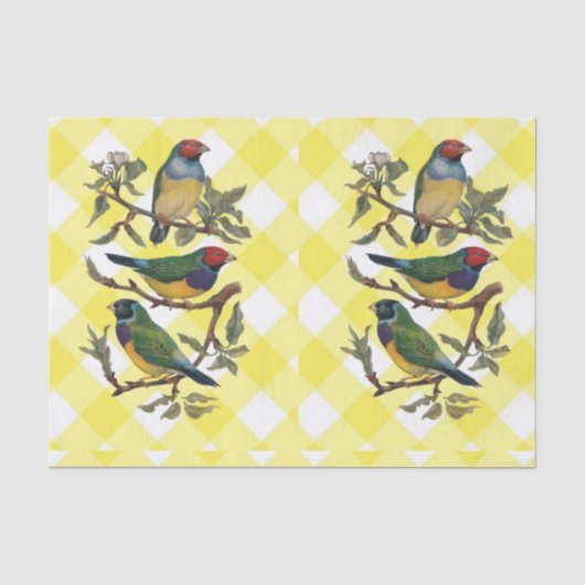 Tissue Bird Yellow Kariert Seidenpapier (Vorderseite)