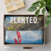 Tissue/Decoupage der orchid-Blume Seidenpapier (Geschenk)