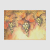 Tissue of Chardonnay Grapes Tissue Seidenpapier (Vorderseite)