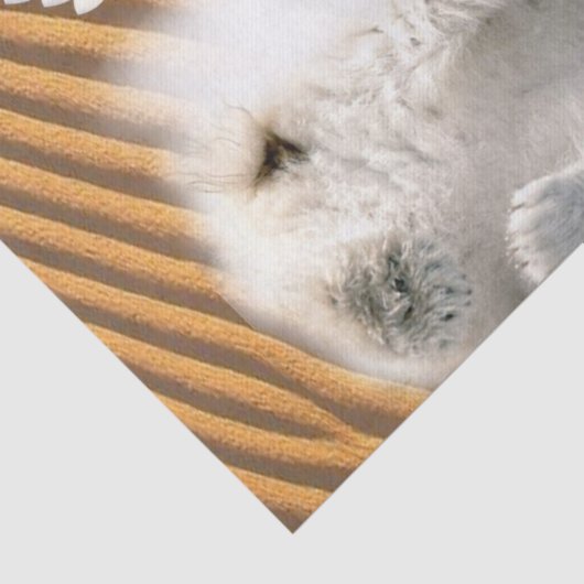 Tissue Paper Angel Polar Bear Seidenpapier (Ausschnitt)