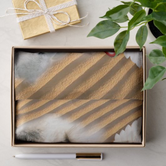 Tissue Paper Angel Polar Bear Seidenpapier (Geschenk)