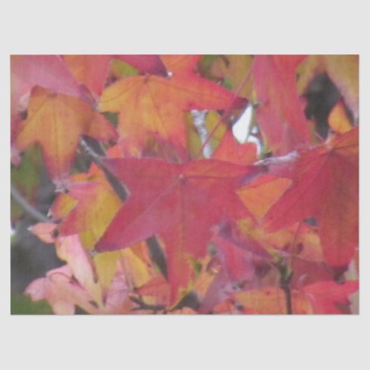 Tissue Paper - Autumn Leaves Seidenpapier (Vorderseite)