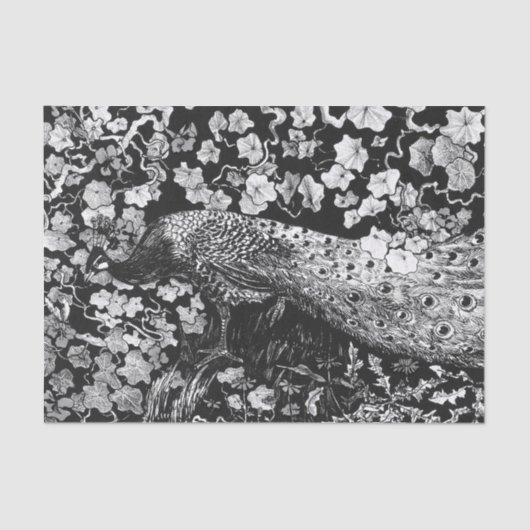 Tissue Paper BLACK AND WHITE PEACOCK Seidenpapier (Vorderseite)