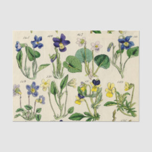 Tissue Paper "Botanische Violetten Vintage Blume" Seidenpapier