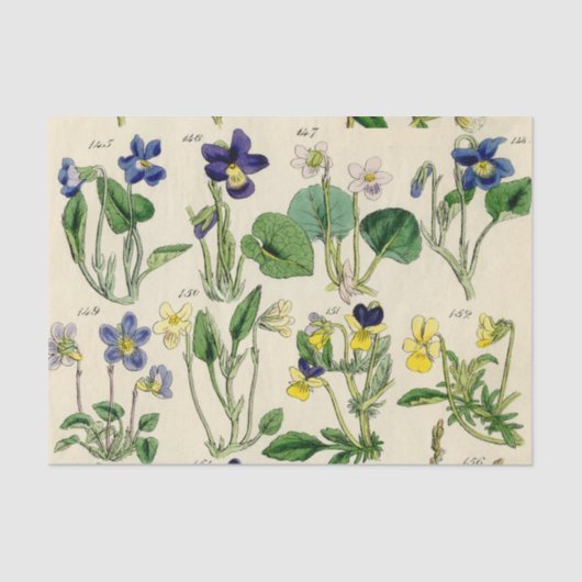Tissue Paper "Botanische Violetten Vintage Blume" Seidenpapier (Vorderseite)