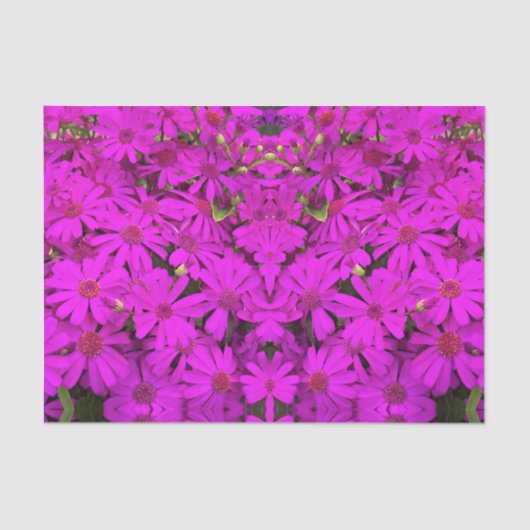 Tissue Paper Bright Pink/Lila Daisis Seidenpapier (Vorderseite)