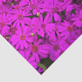 Tissue Paper Bright Pink/Lila Daisis Seidenpapier (Ausschnitt)