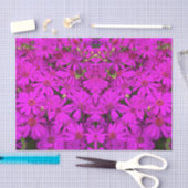 Tissue Paper Bright Pink/Lila Daisis Seidenpapier (Handwerk)