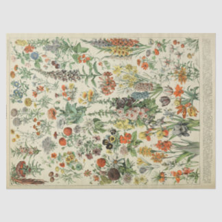 Tissue Paper der französischen botanischen jährlic Seidenpapier