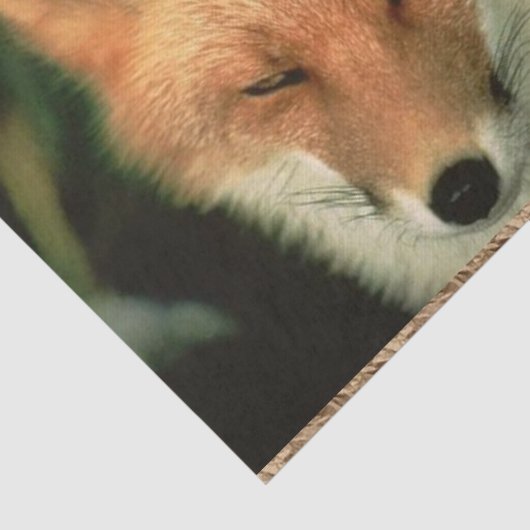 Tissue Paper Red Fox Seidenpapier (Ausschnitt)