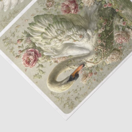 Tissue Paper Seidenpapier (Ausschnitt)