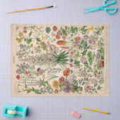 Tissue Paper Seidenpapier (Basteln)