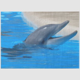 Tissue Paper Seidenpapier