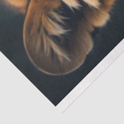 Tissue Paper Tiger Feline No.4 Seidenpapier (Ausschnitt)