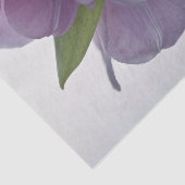 Tissue Paper Tulips nach unten Seidenpapier (Ausschnitt)