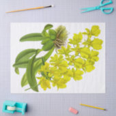 Tissue Paper (Vintage Gelbe Orchidee-Blume) Seidenpapier (Basteln)