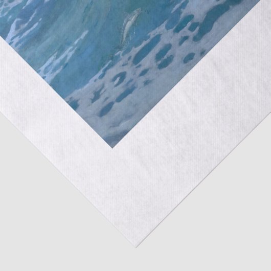 TISSUE PAPIER : DAS MERMAID : HOWARD PYLE : 1910 (Detail)