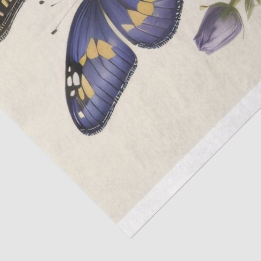 TISSUE PAPIER Sommerblüten v3 Tissue Paper (Ausschnitt)