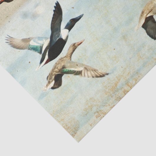 Tissue-Papiere für Flying Encks Seidenpapier (Ausschnitt)