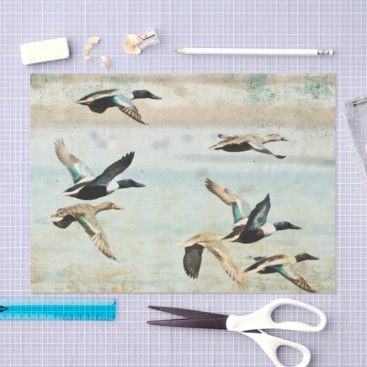 Tissue-Papiere für Flying Encks Seidenpapier (Handwerk)