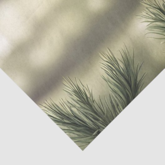 Tissue (Tissue) Seidenpapier (Ausschnitt)